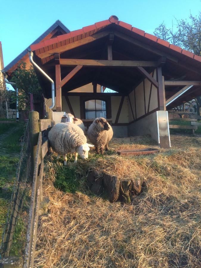 Ferienwohnung Saaletalblick Jena Exterior foto